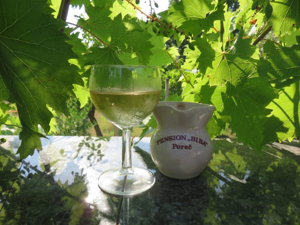 Gastro Pension Biba Poreč