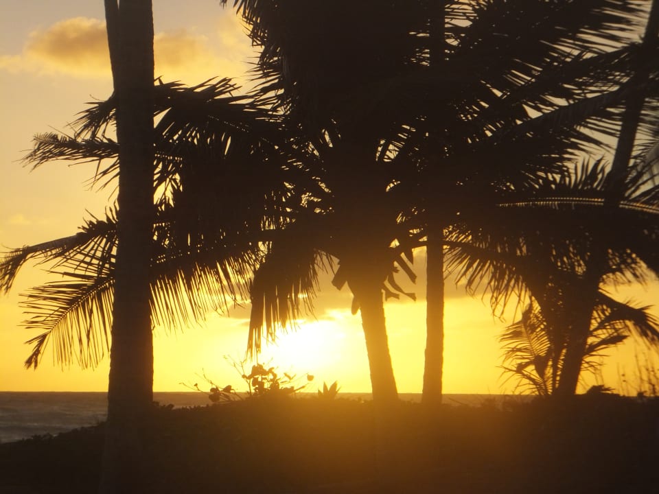 Strand Wyndham Alltra Punta Cana