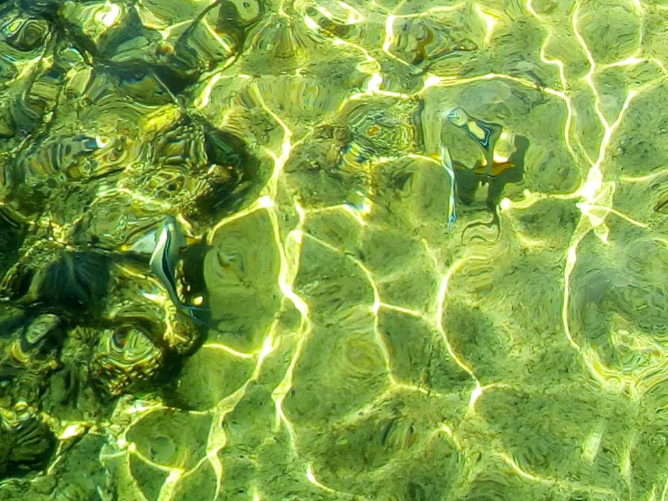 Strand Reef Oasis Blue Bay Resort