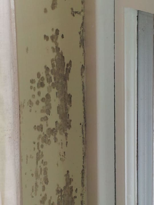 State of the bathroom windows with damp and mildew Hotel The Colonnade