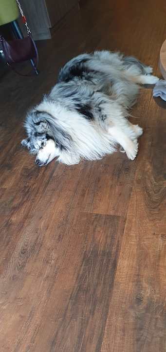 Zimmer Hotel Gut Schmelmerhof