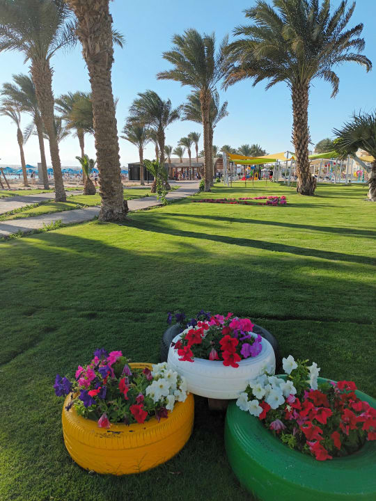 Gartenanlage Pyramisa Beach Resort Sahl Hasheesh