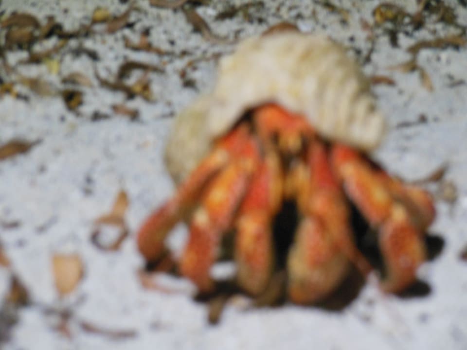 Strand Adaaran Select Hudhuran Fushi - Premium All Inclusive