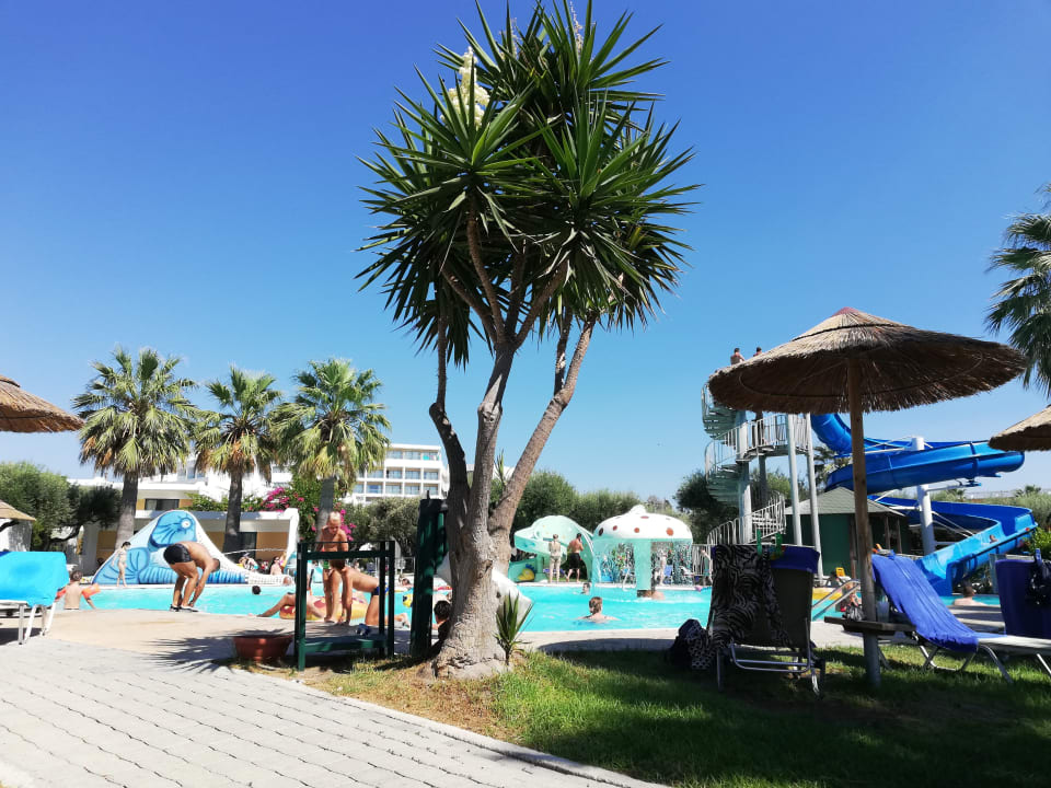 Pool TUI KIDS CLUB Alex Beach