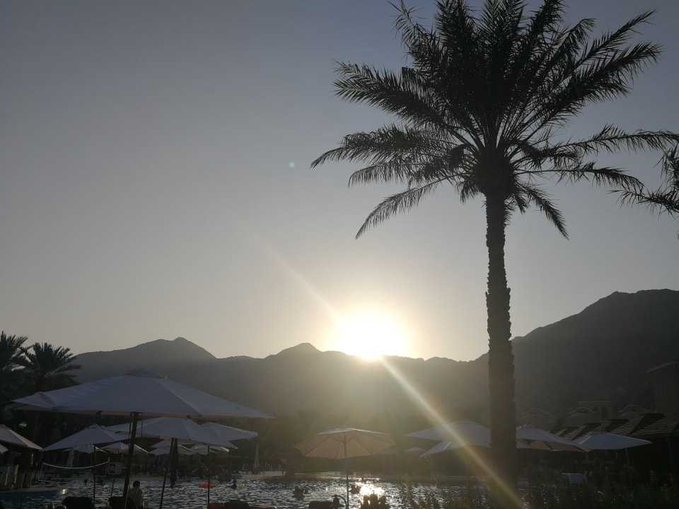 Ausblick Miramar Al Aqah Beach Resort