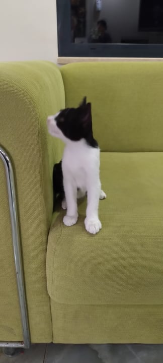 Sport & Freizeit Hotel Ayaz Aqua