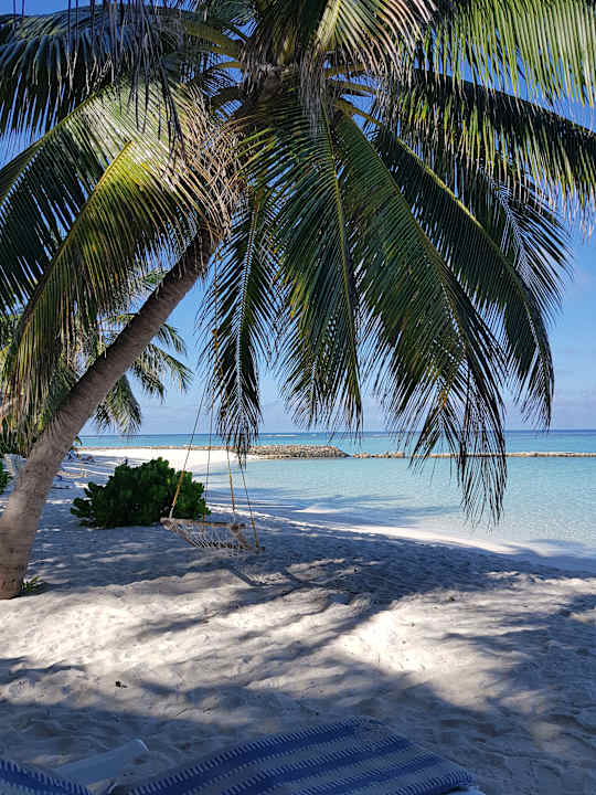 Strand Summer Island Maldives