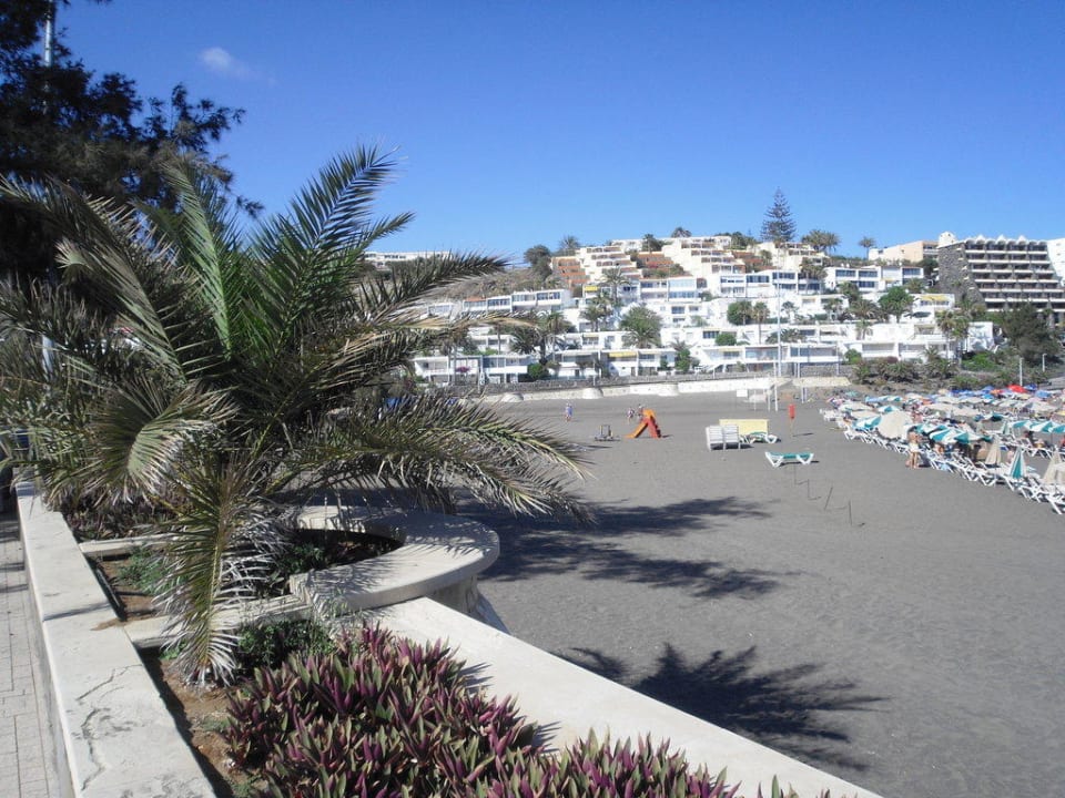 Strand Corallium Beach by Lopesan Hotels - Adults only