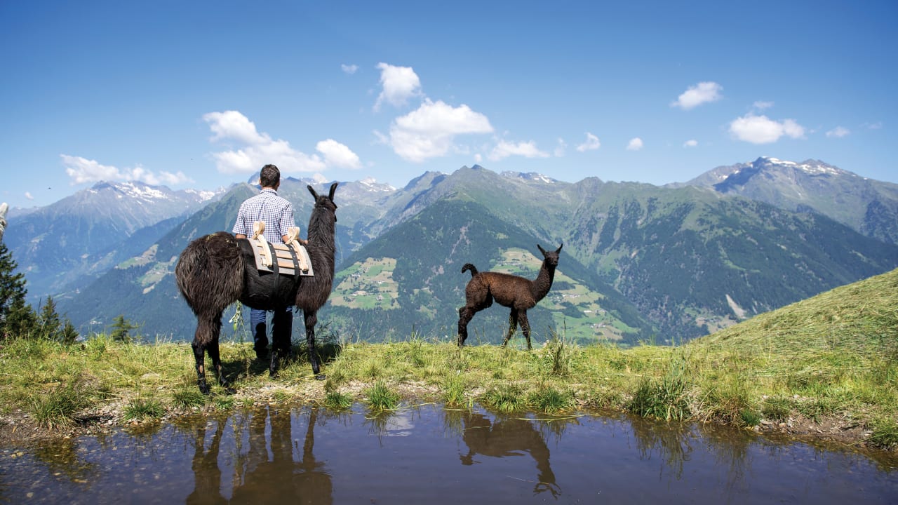 Sport & Freizeit Taser Familienalm