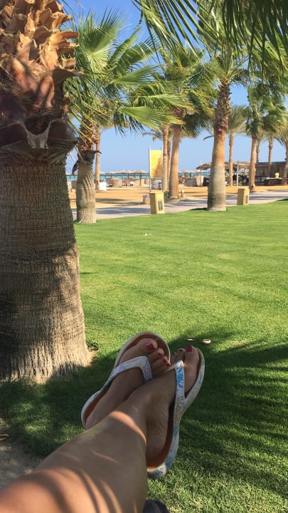 Gartenanlage Casa Mare Resort