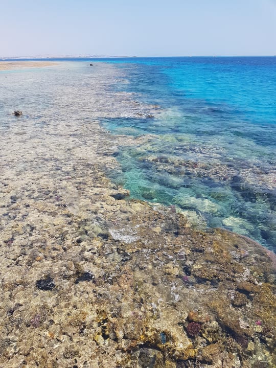 Strand Makadi Spa - Adults only