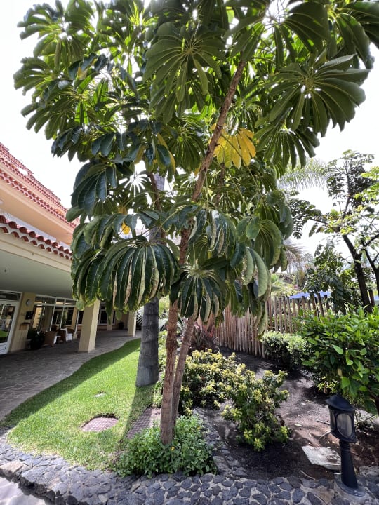 Gartenanlage Tigaiga Suites