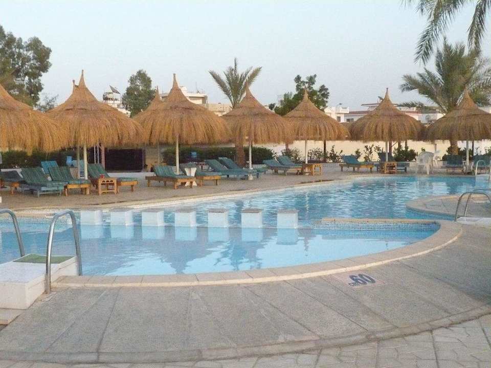 Pool Albatros Sharm Resort