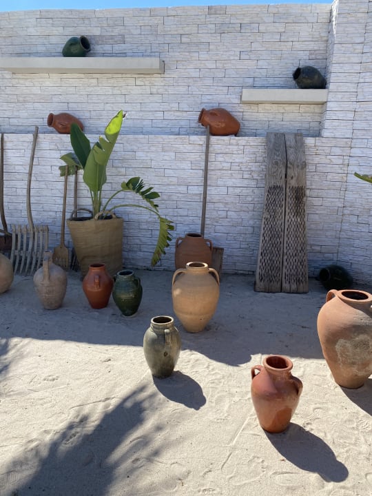 Gartenanlage Dream World Palace Hotel