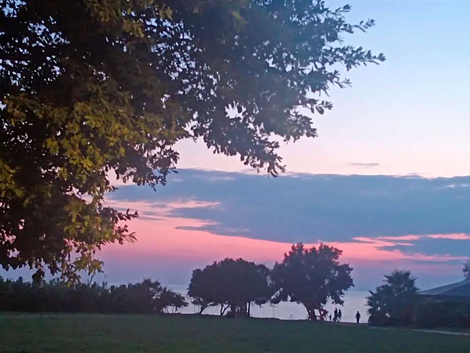 Ausblick Camping Park Umag Glamping