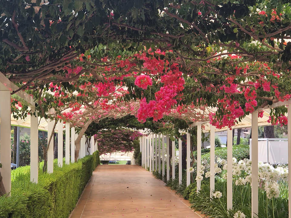 Außenansicht Hipotels Hipocampo Palace & Spa