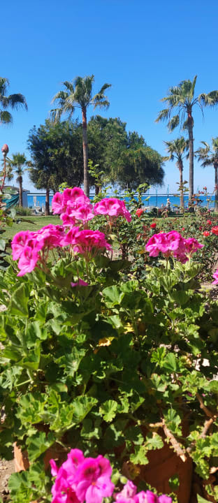 Gartenanlage Iz Flower Side Beach Hotel