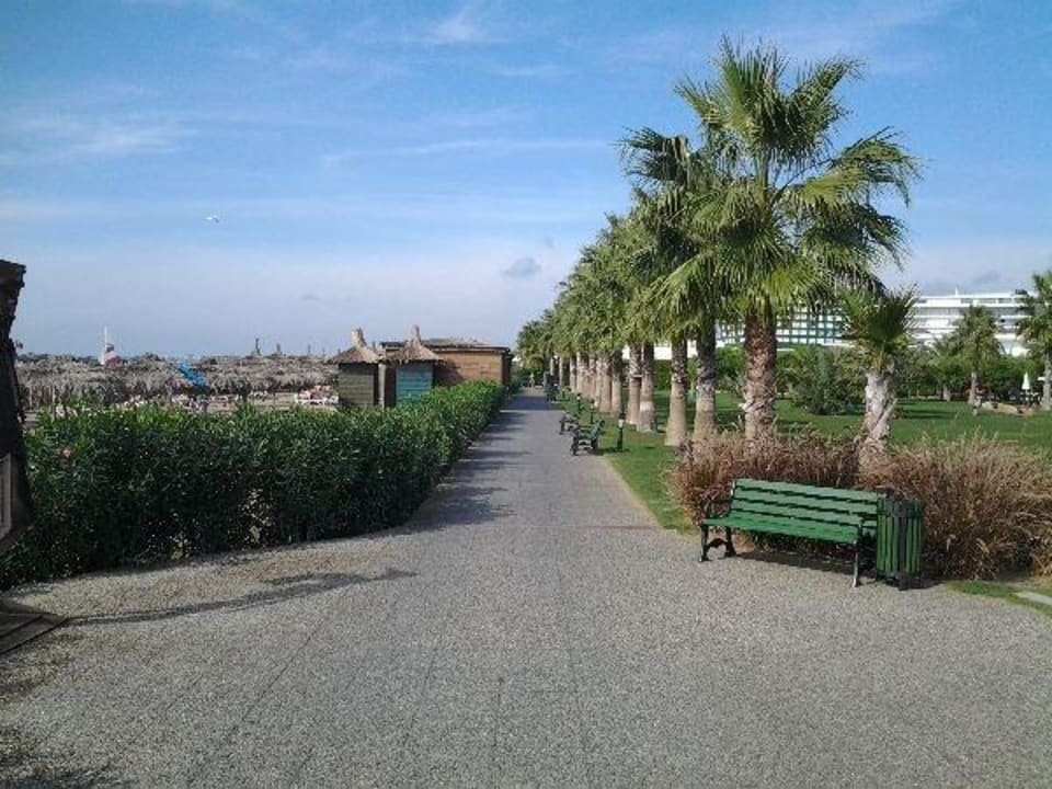 Palmenallee in der Anlage Voyage Belek Golf & Spa