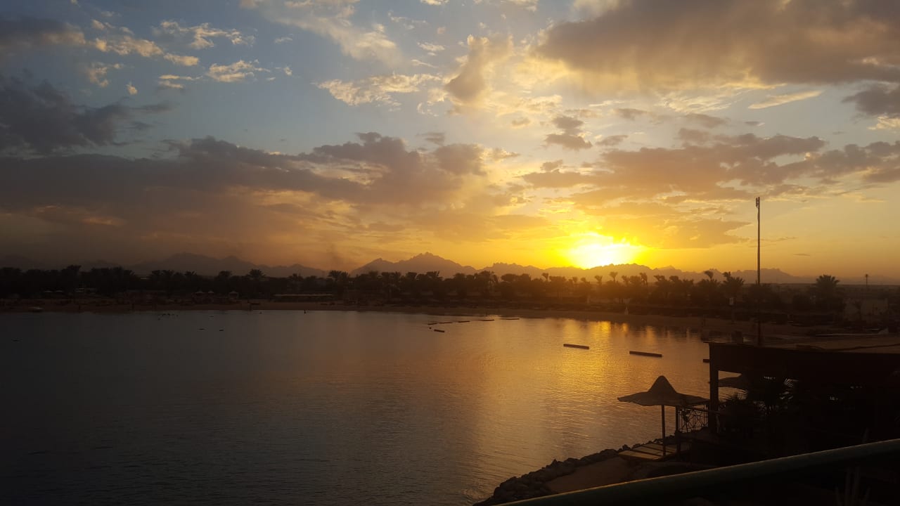 Ausblick Desert Rose