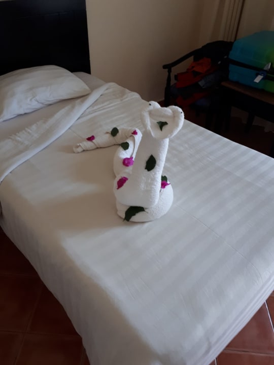 Zimmer Three Corners Sea Beach Resort