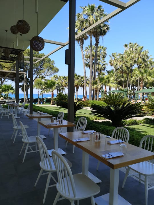 Gastro Acanthus Cennet Barut Collection