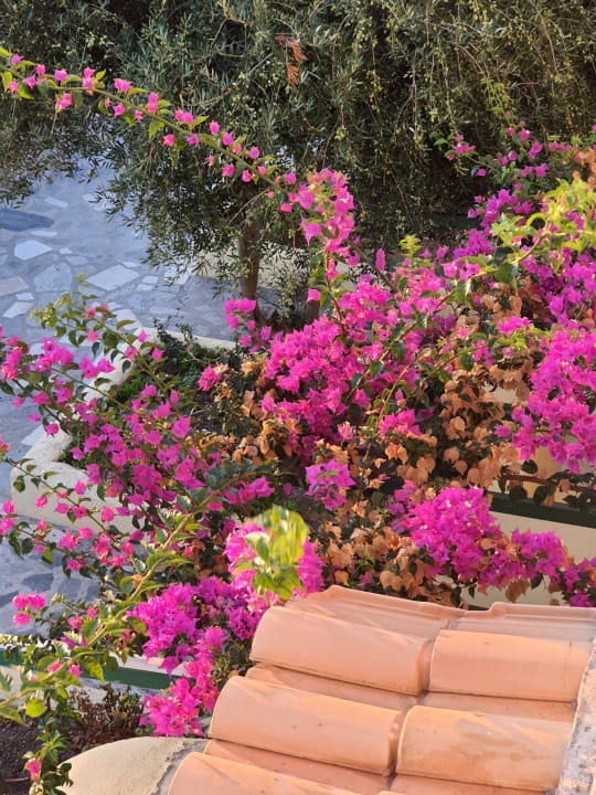 Gartenanlage Euro Village Achilleas Hotel