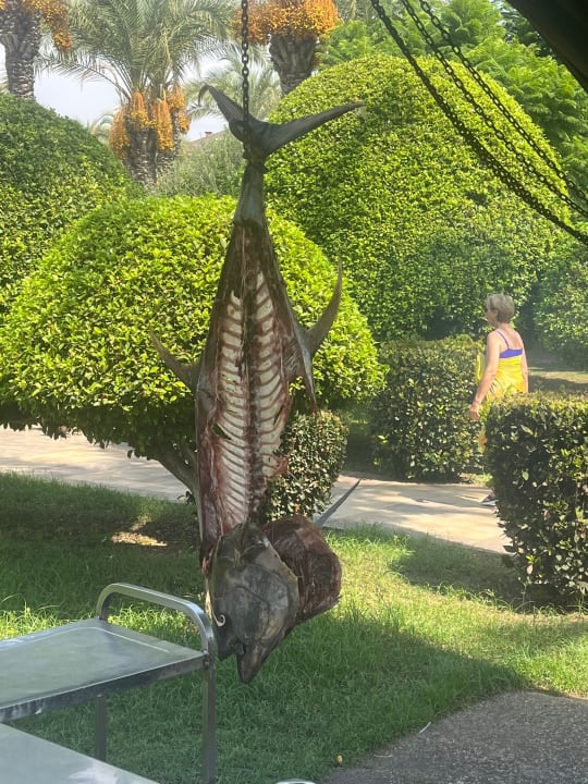 Gartenanlage Sunis Kumköy Beach Resort Hotel & Spa