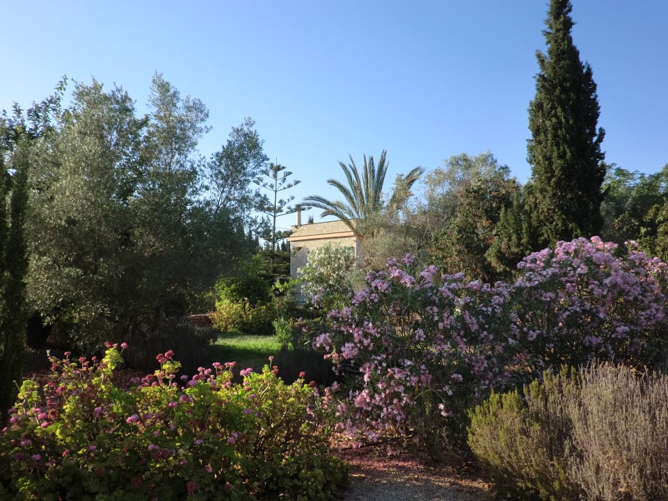 Garten Fincahotel Son Baro