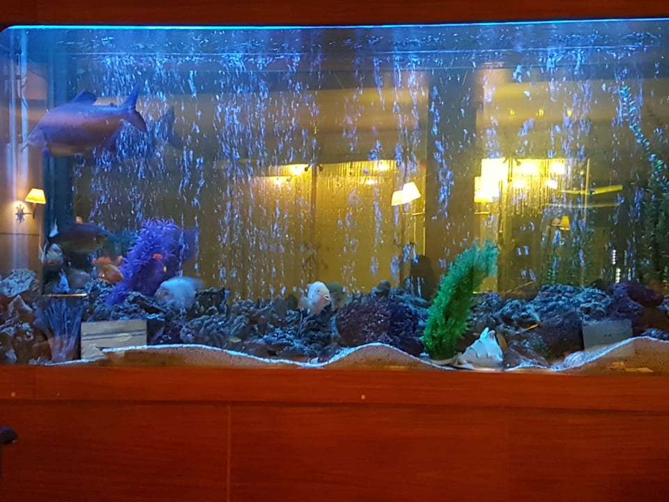 Lobby Hotel Grand Side
