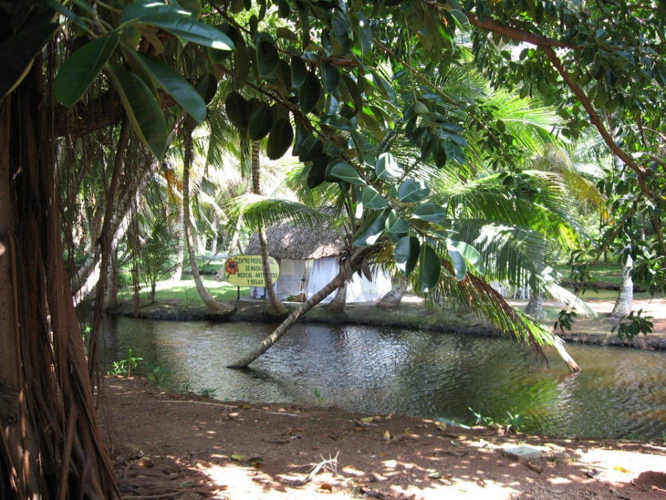 Schildkrötenteich und Massagezelt Wyndham Alltra Samana