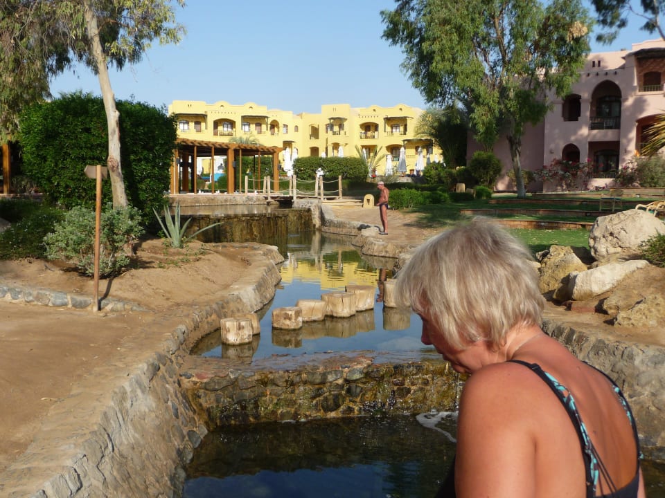 Kleiner Bach mit Fischen Three Corners Rihana Resort Deluxe