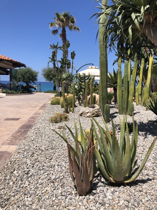 Gartenanlage Hotel Villaggio Il Gabbiano