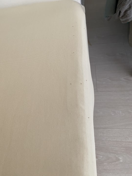 Zimmer TUI BLUE Olhuveli Romance