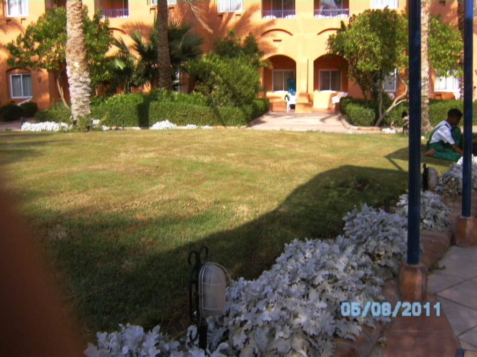 Garten am Pool sehr gepflegt Jaz Makadi Oasis Resort