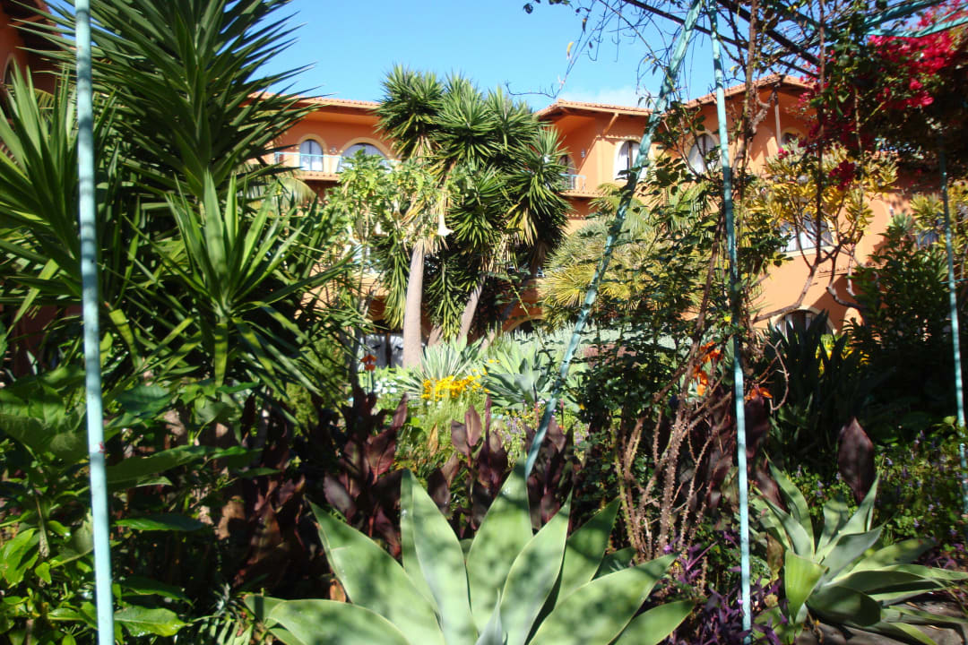 Kleiner Ausschnitt aus der Gartenanlage Hotel Quinta Splendida Wellness & Botanical Garden