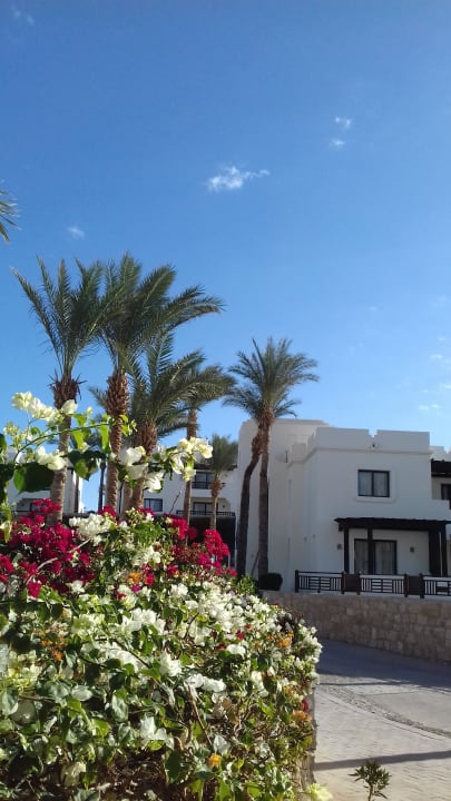 Reihe 8 Sharm Resort