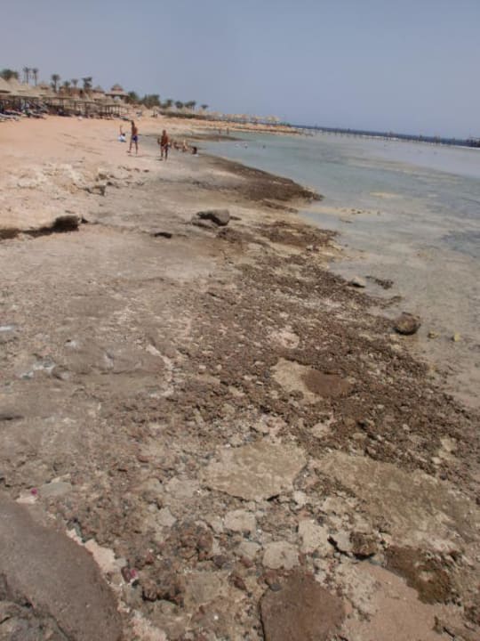 Der angepriesene Hotelstrand Hotel Nubian Village