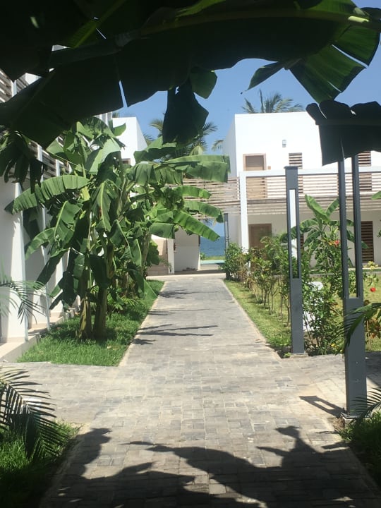 Gartenanlage TUI BLUE Tamala