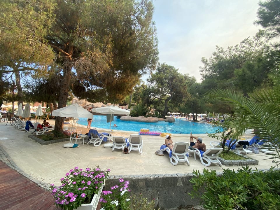 Pool Blue Waters Club