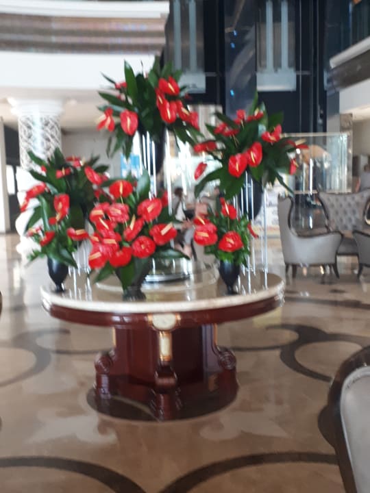 Lobby Castival Hotel