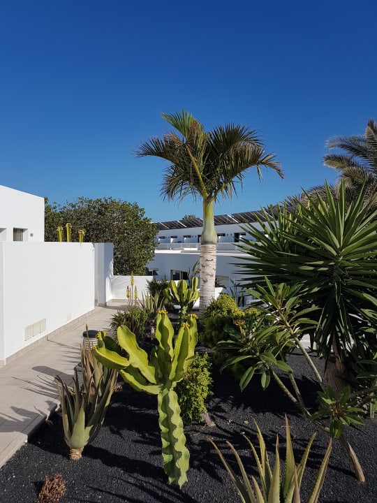 Gartenanlage Hotel Las Costas