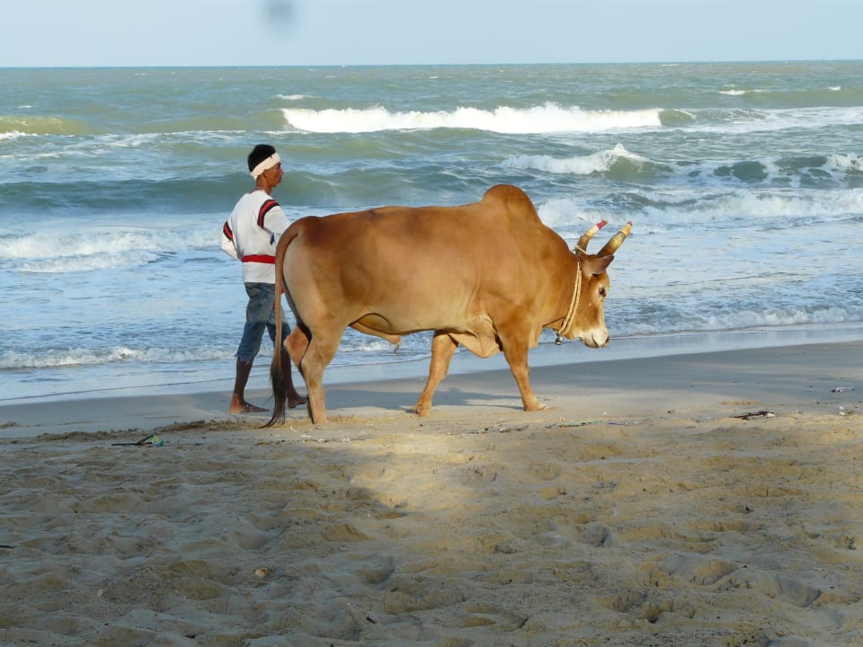 Strand Ao Thai Resort