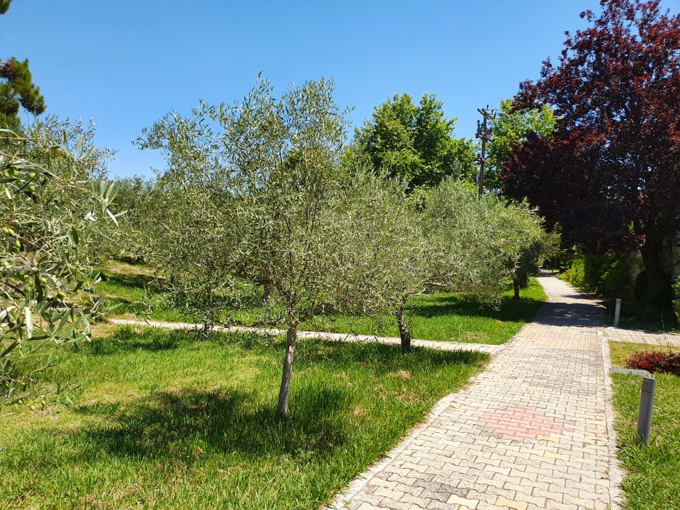 Gartenanlage Olympian Bay Grand Resort