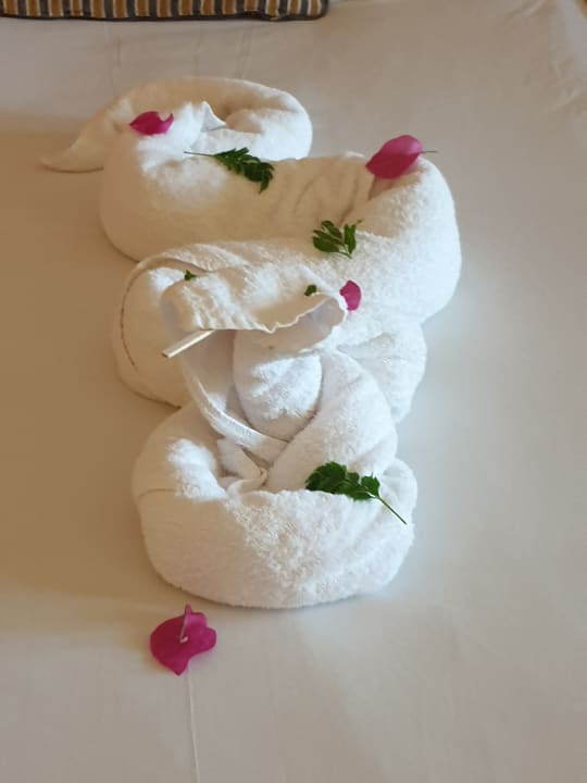 Zimmer Hotel JAZ Makadi Star & Spa