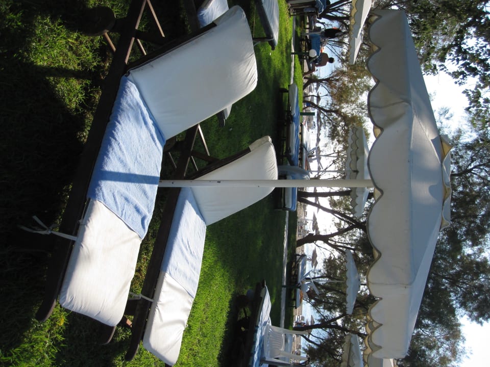Bequeme Liegen Hotel Calypso Beach