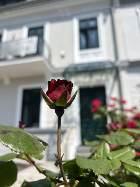 Außenansicht Sissi West