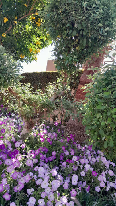 Gartenanlage Shams Prestige Abu Soma-Adults Only