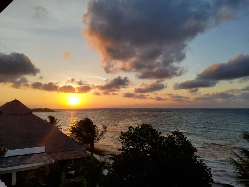 Zimmer Akumal Bay Beach & Wellness Resort