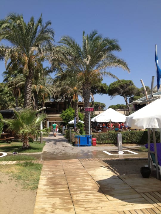 Weg Vom Strand Papillon Ayscha