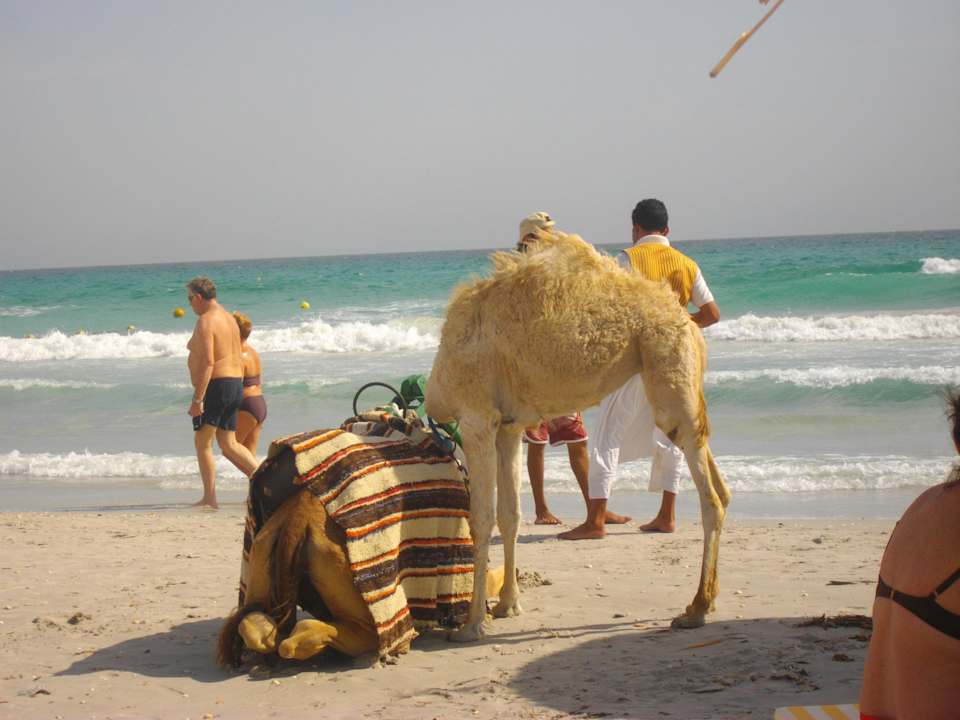 Strand Mahdia Beach & Aquapark